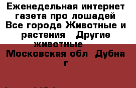 Еженедельная интернет - газета про лошадей - Все города Животные и растения » Другие животные   . Московская обл.,Дубна г.